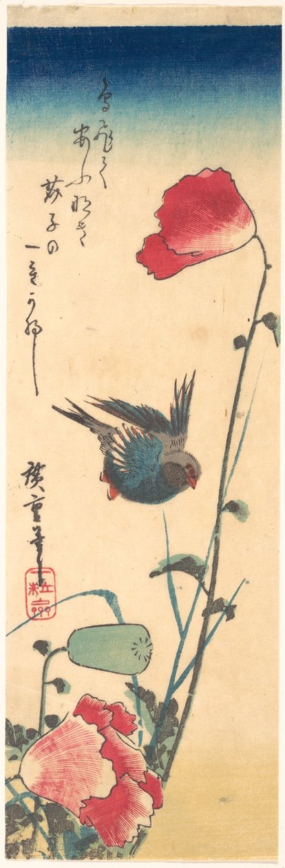 Ein Blaukehlchen und Mohnblumen de Utagawa Hiroshige