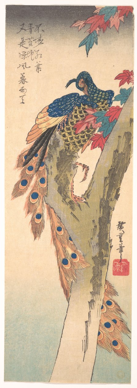 Um pavão empoleirado num bordo de Utagawa Hiroshige