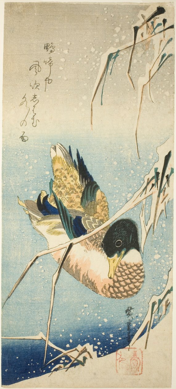 Um pato selvagem nadando por um banco coberto de neve sob juncos cobertos de neve de Utagawa Hiroshige