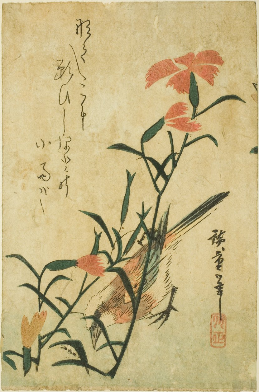 Pássaro e cravo selvagem de Utagawa Hiroshige