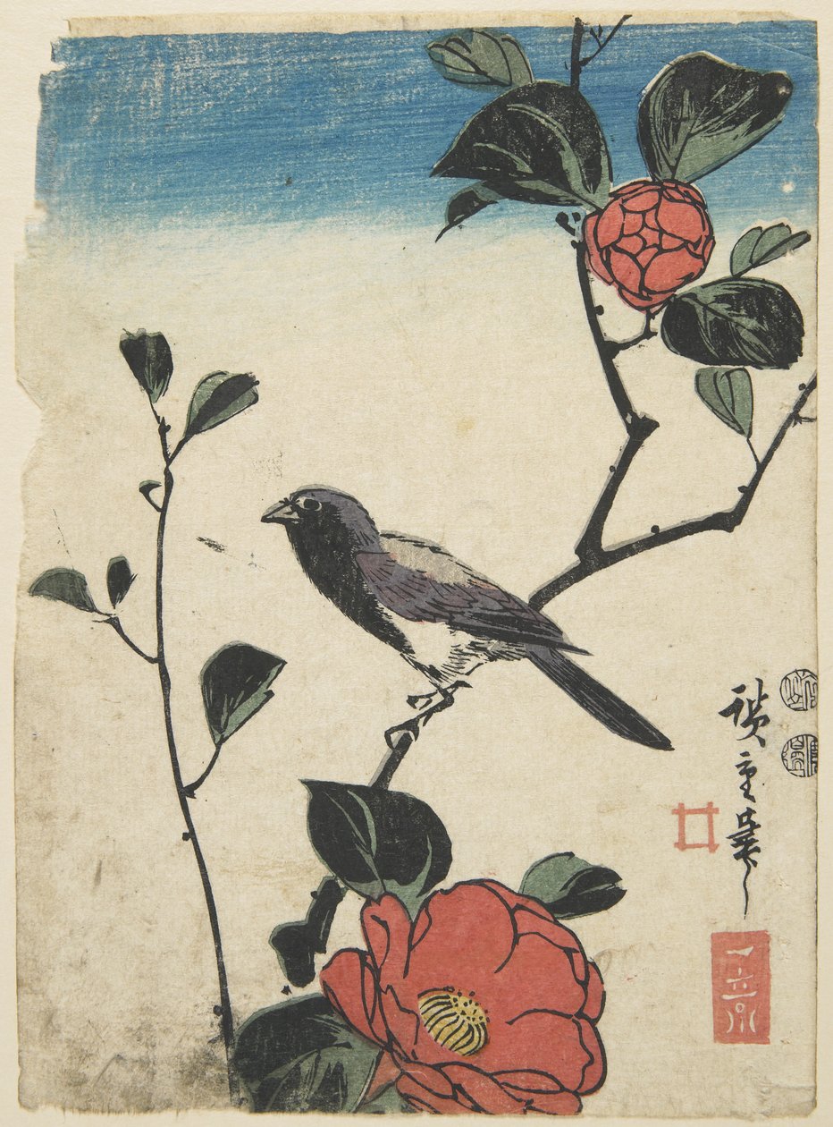 Pássaro no ramo de cerejeira, 1847-1852 de Utagawa Hiroshige