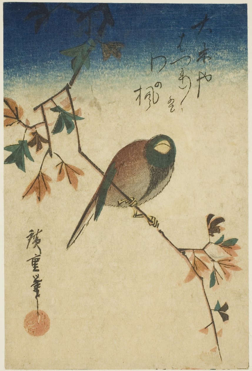 Pássaro no ramo de bordo de Utagawa Hiroshige