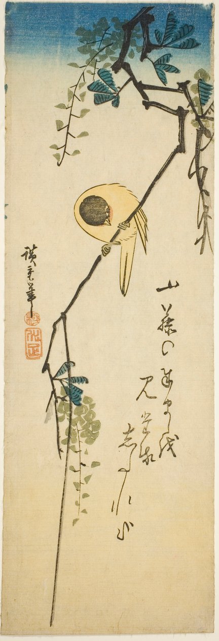 Pássaro em glicínias sedosas de Utagawa Hiroshige