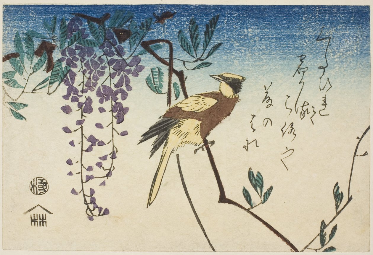 Oriole de nuca preta e glicínias de Utagawa Hiroshige