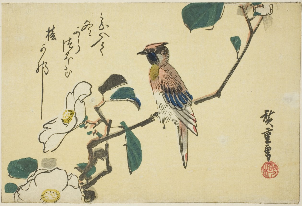 Oriole de nuca preta em galho de camélia de Utagawa Hiroshige
