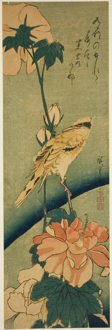Oriole de nuca preta em hibisco de Utagawa Hiroshige