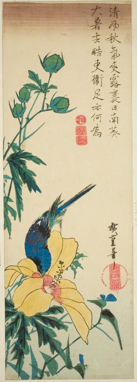 Pássaro azul e hibisco de Utagawa Hiroshige