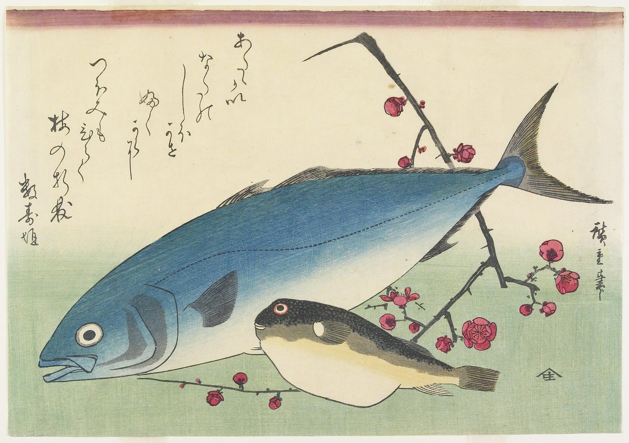 Bonito, Globefish e um Spray of Blossum Plum, c. 1840 de Utagawa Hiroshige