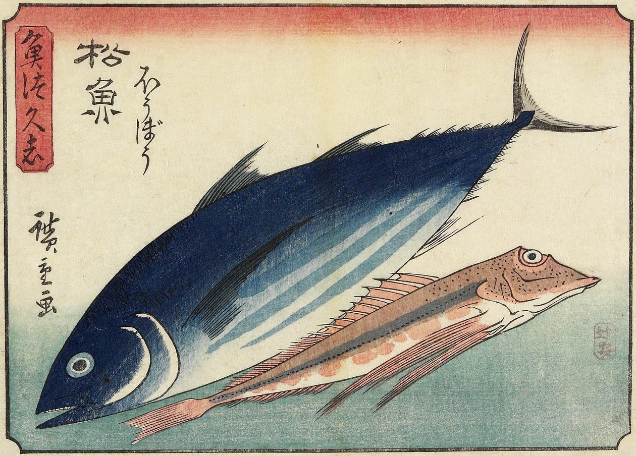 Bonito e bacamarte, 1830-1844 de Utagawa Hiroshige