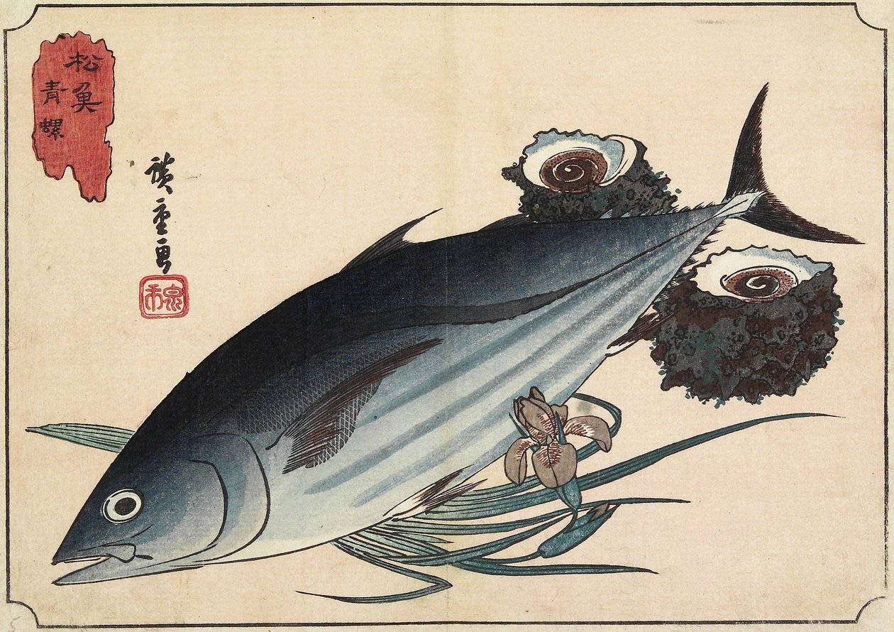 Bonito e Top Shells, início do século XIX de Utagawa Hiroshige