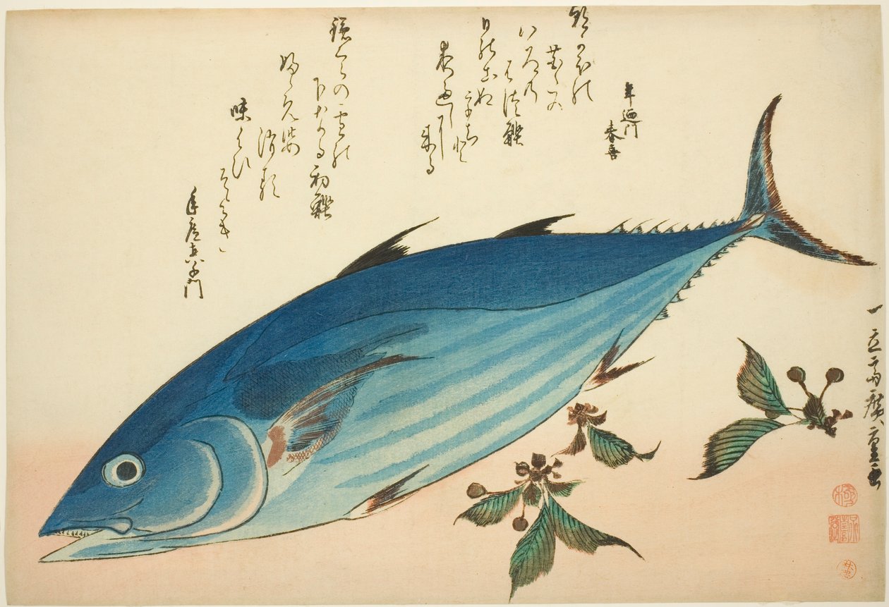 Bonito e saxifrage, de uma série sem título de peixes de Utagawa Hiroshige
