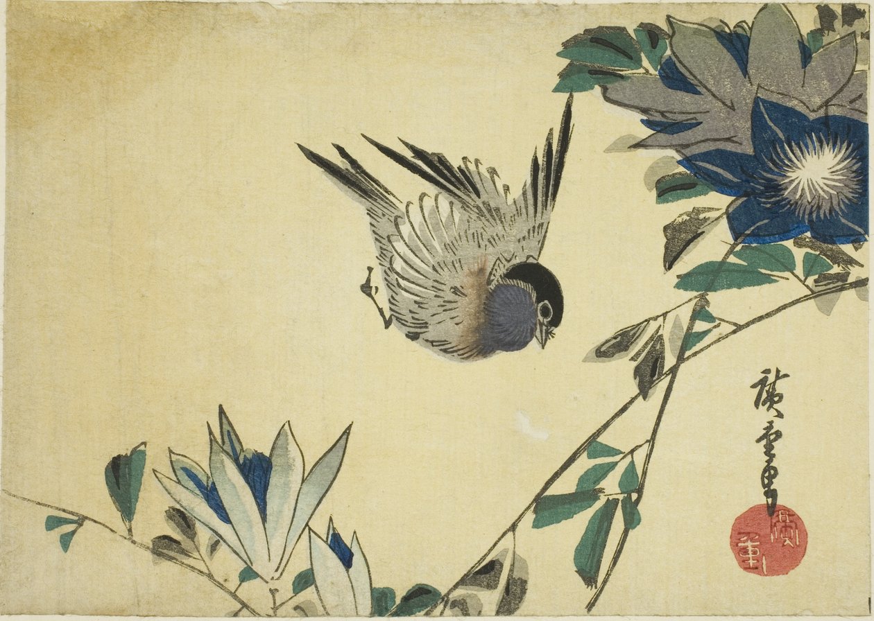 Bullfinch e clematite de Utagawa Hiroshige