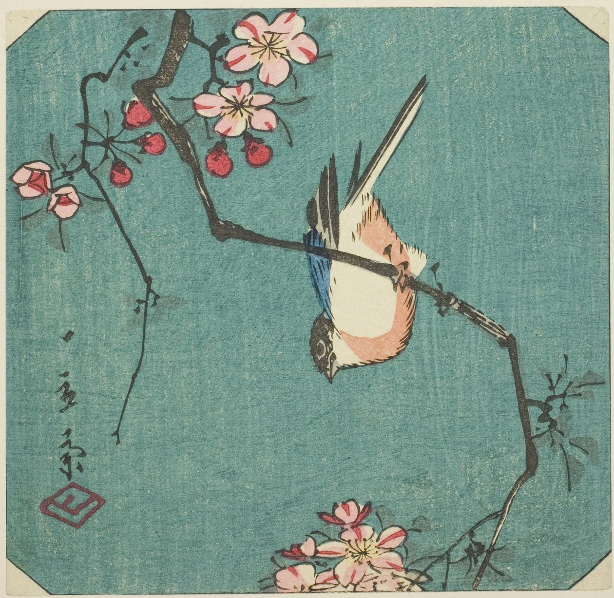 Curió, seção de uma impressão sem título haimaze de Utagawa Hiroshige