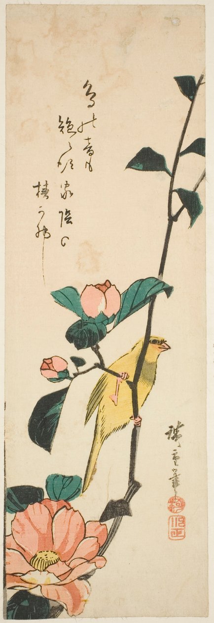 Canário e camélias de Utagawa Hiroshige