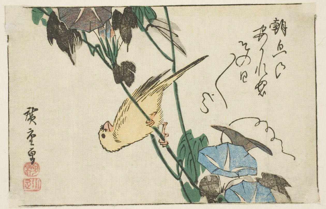 Canário e glórias da manhã de Utagawa Hiroshige
