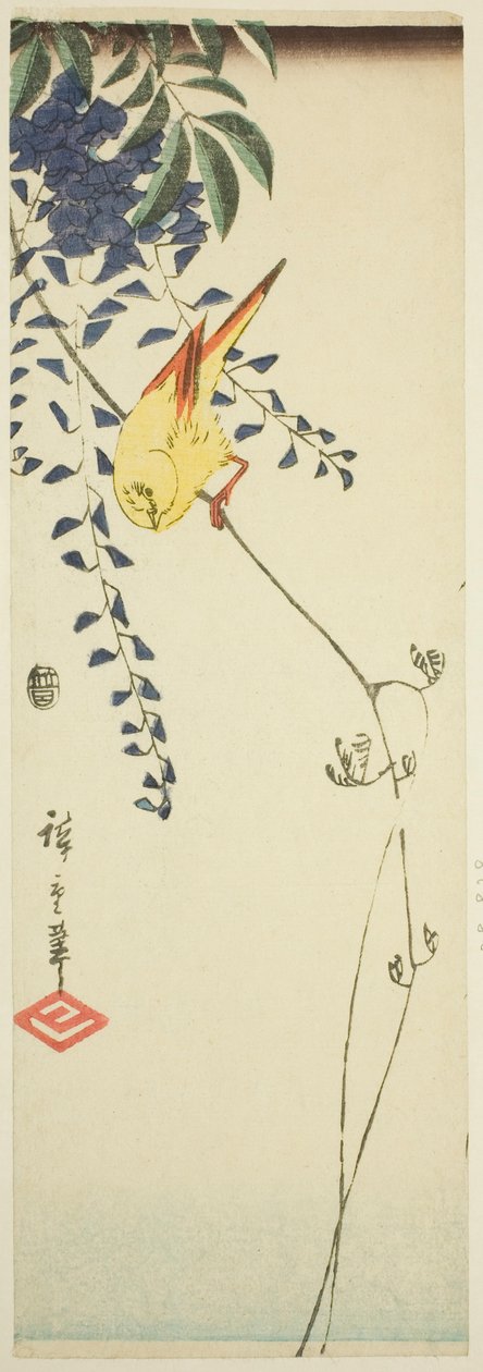 Canário e glicínias de Utagawa Hiroshige