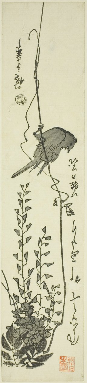 Canário e glicínias de Utagawa Hiroshige