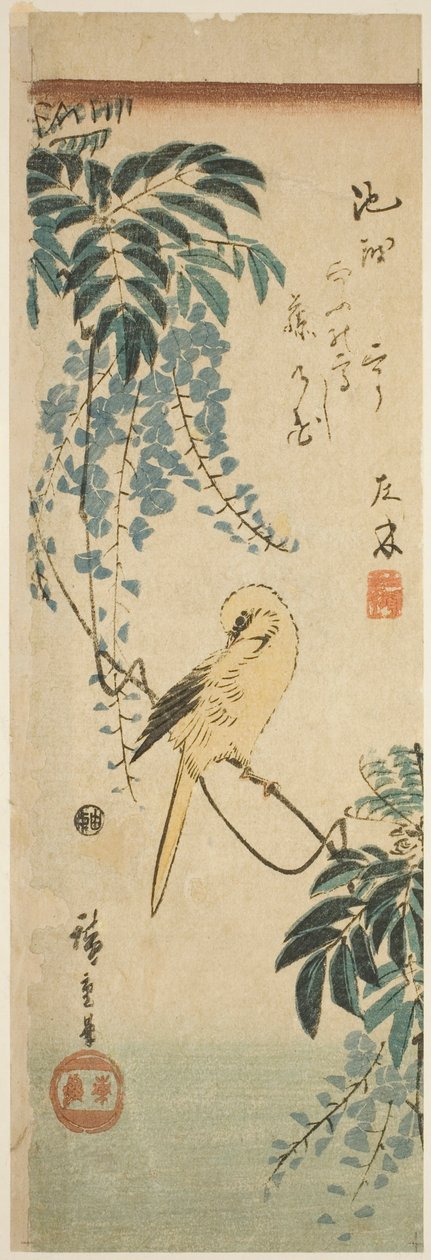 Canário e glicínias de Utagawa Hiroshige