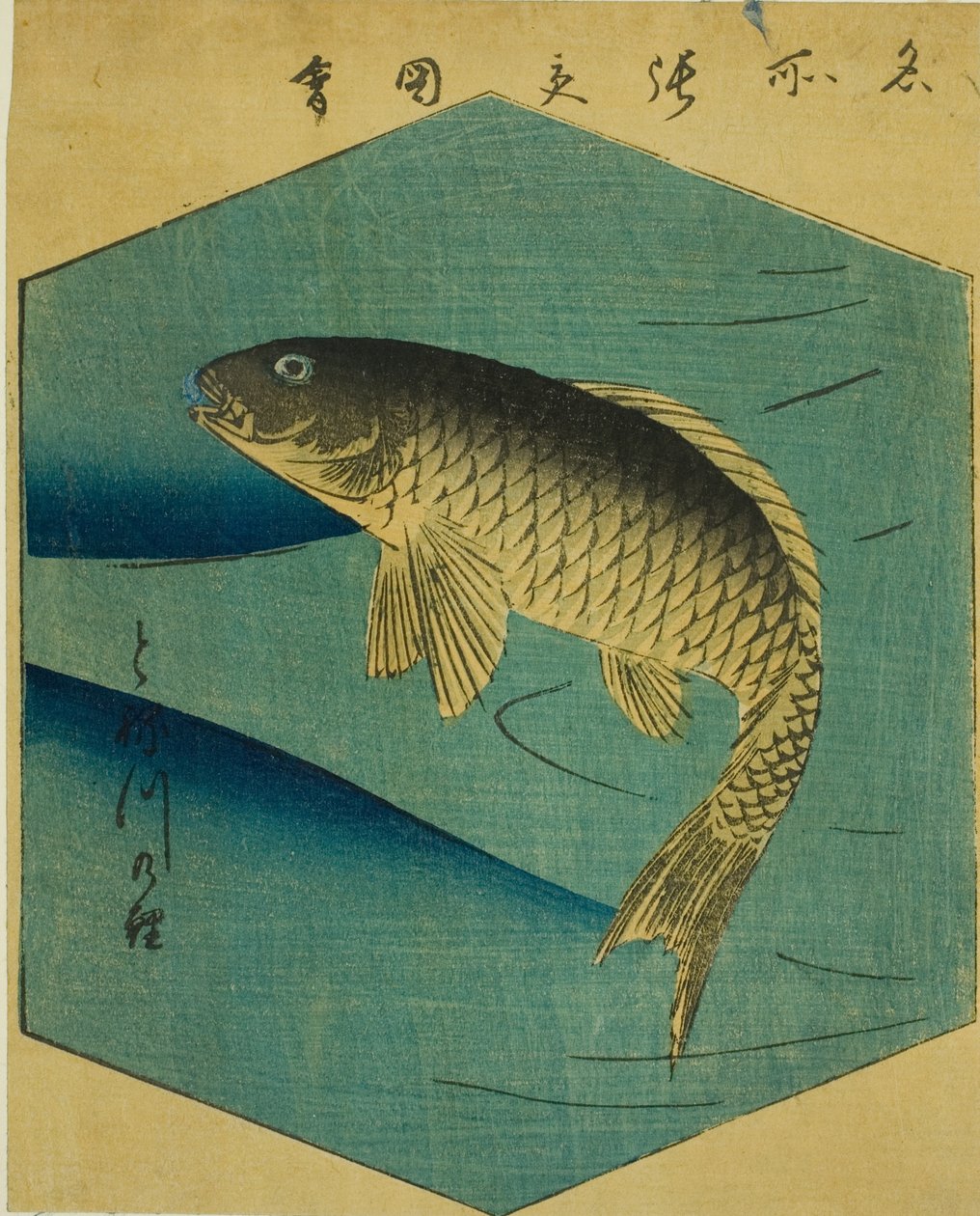 Carpa no Rio Tone (Tonegawa no koi), seção de uma folha da série "Fotos recortadas de lugares famosos em Edo (Edo meisho harimaze zue)" de Utagawa Hiroshige