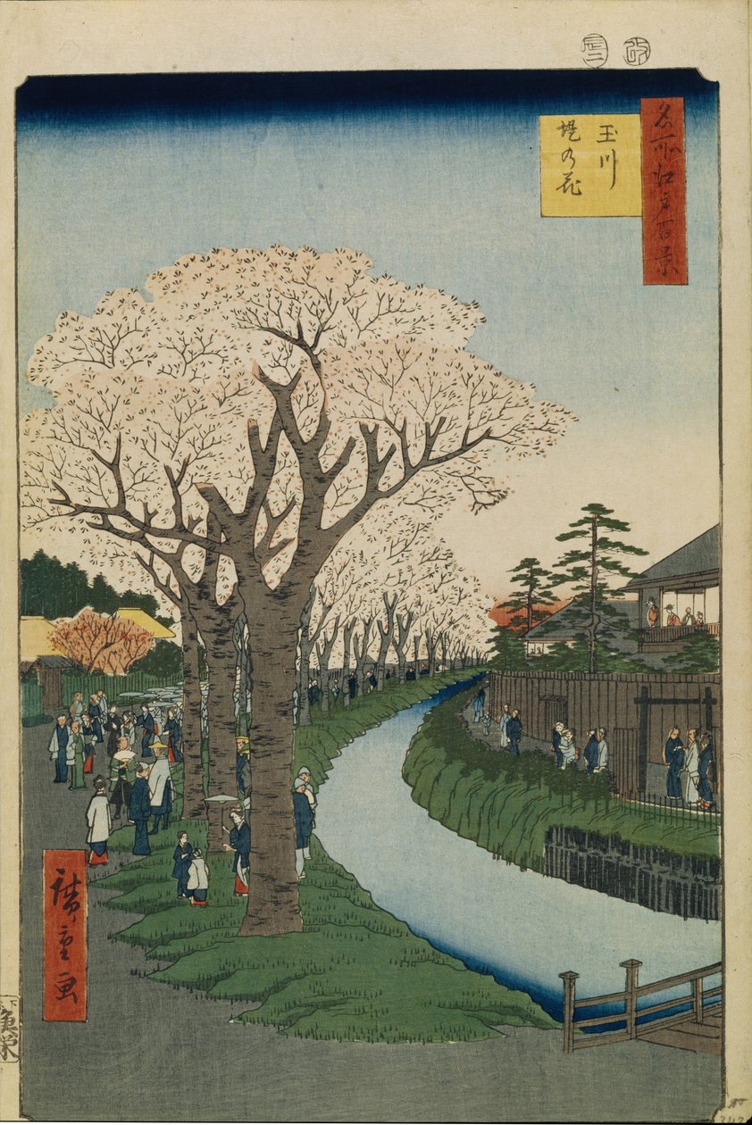 Flores de cerejeira nas margens do rio Tama Cem vistas famosas de Edo, 1856-1858 de Utagawa Hiroshige