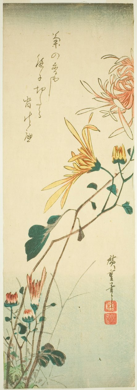 Crisântemos de Utagawa Hiroshige