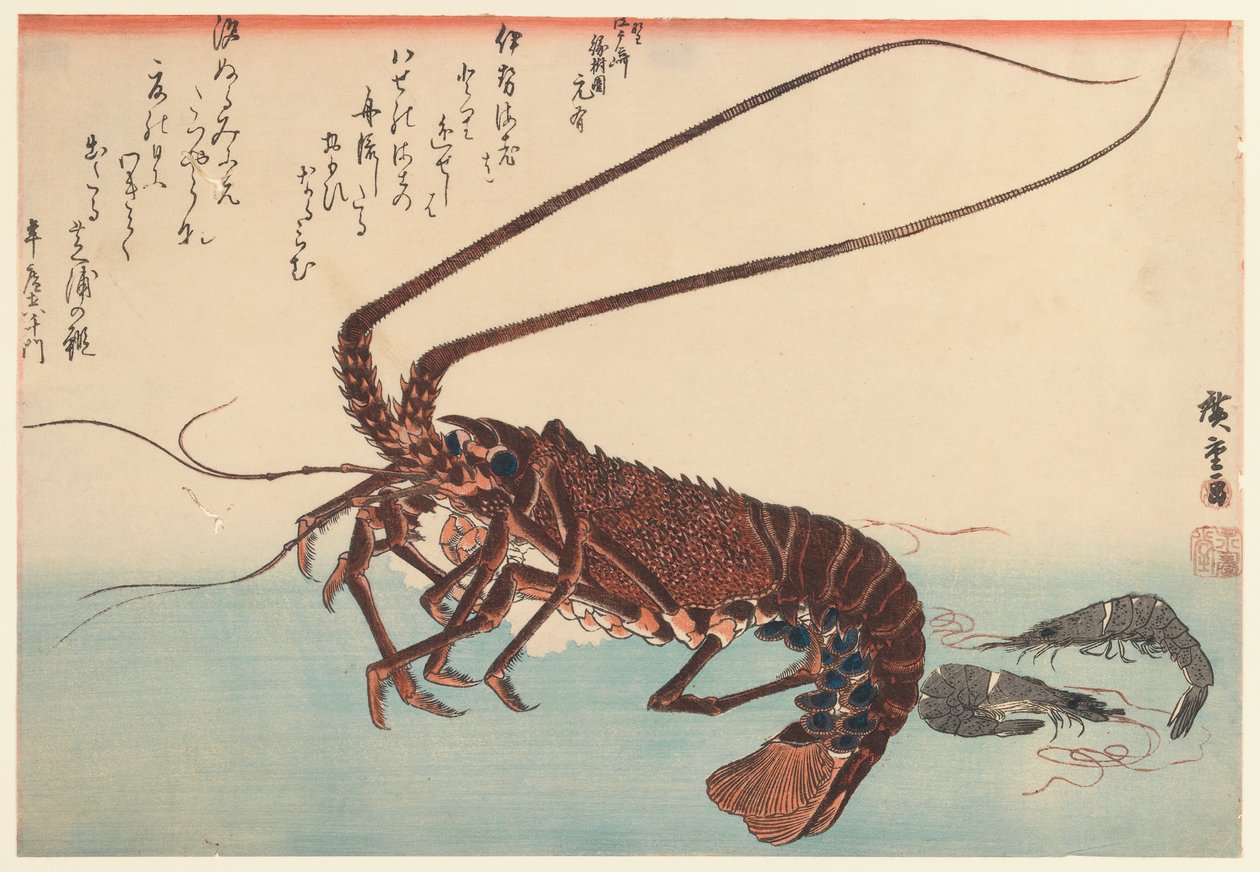 Lagostins e dois camarões, da série Great Fish (iniciada em 1832), 1840 (impressão em xilogravura a cores) de Utagawa Hiroshige