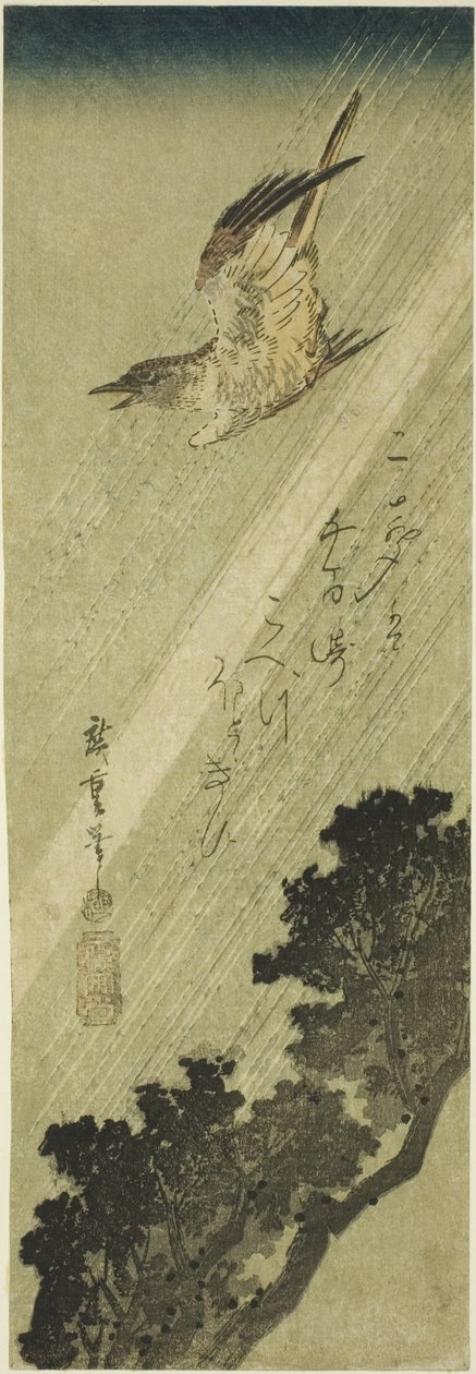 Cuco voando na chuva de Utagawa Hiroshige