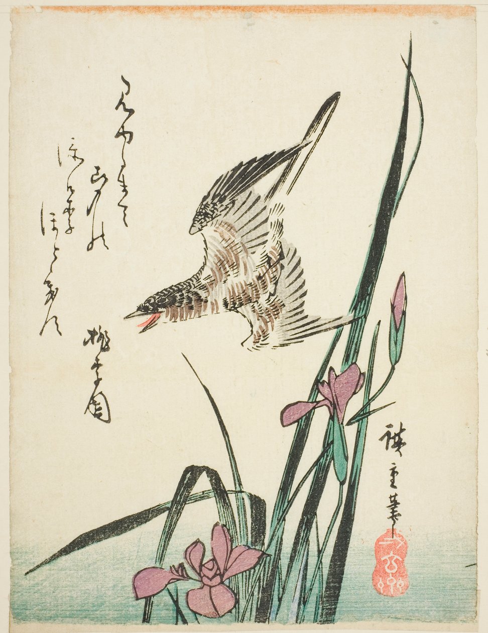 Cuco voando sobre a íris de Utagawa Hiroshige