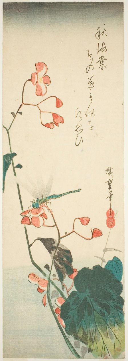 Libélula e begônia de Utagawa Hiroshige