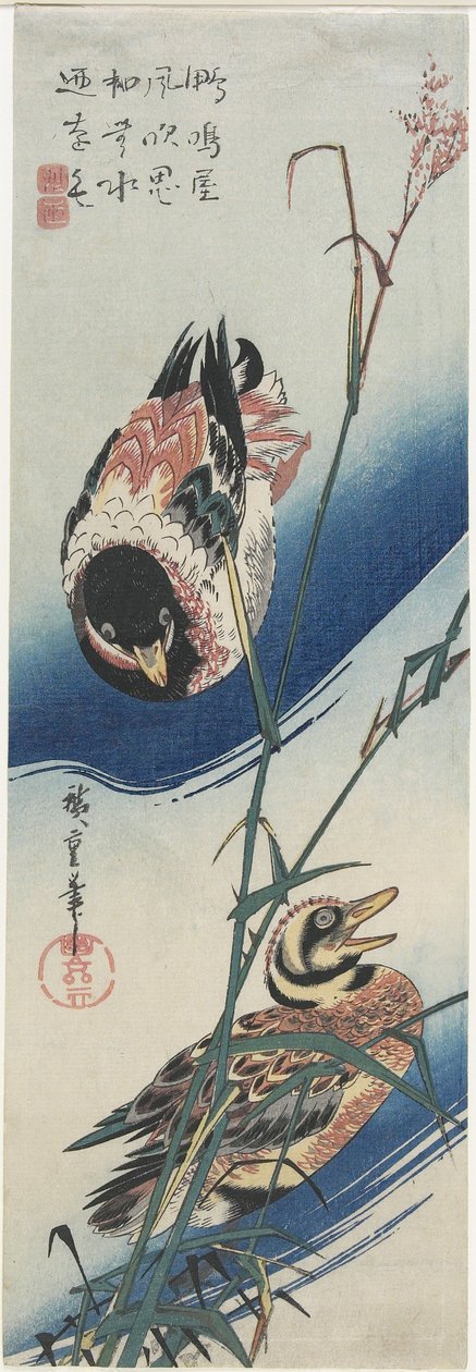 Patos e juncos, 1834-1839 de Utagawa Hiroshige