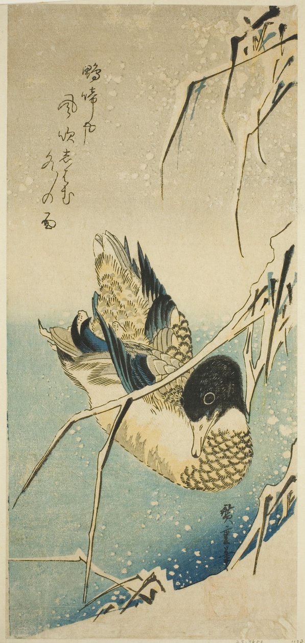 Patos na neve de Utagawa Hiroshige