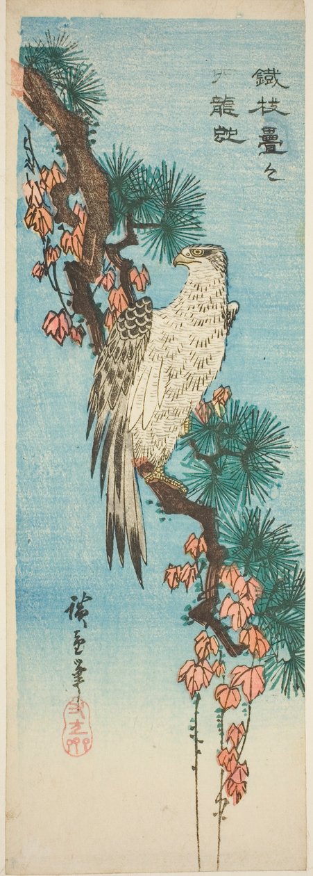 Falcão em galho de pinheiro coberto de hera de Utagawa Hiroshige