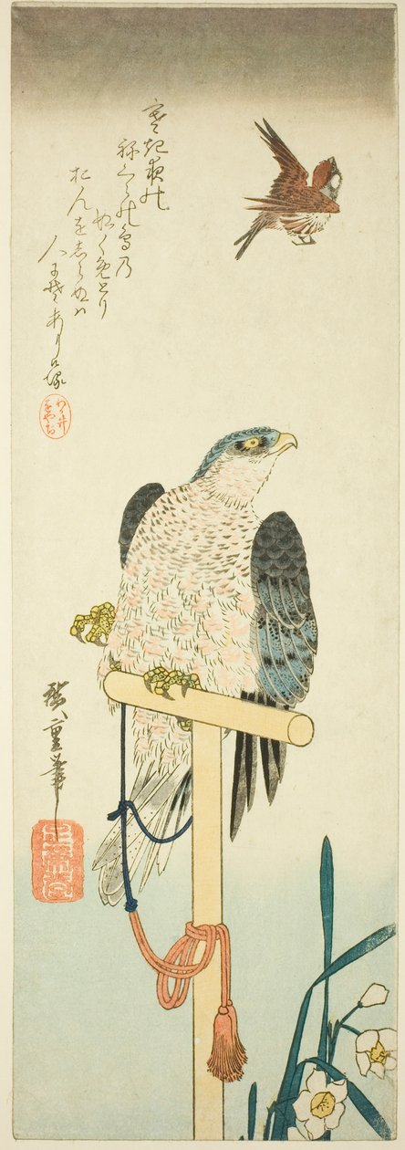 Falcão, pardal e narciso de Utagawa Hiroshige