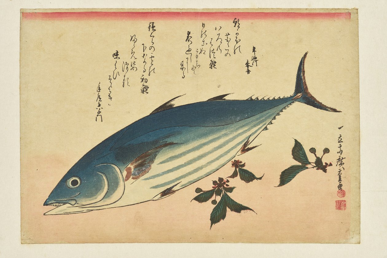 Gravura de peixes: Bonito e cerejas da série «Um cardume de peixes» de Utagawa Hiroshige