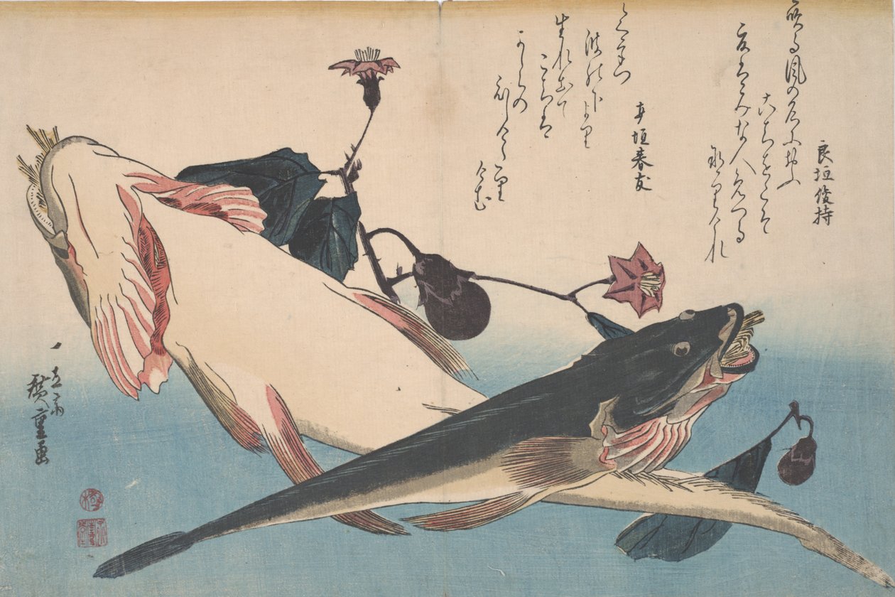Flatheads e Berinjela, c.1830 de Utagawa Hiroshige