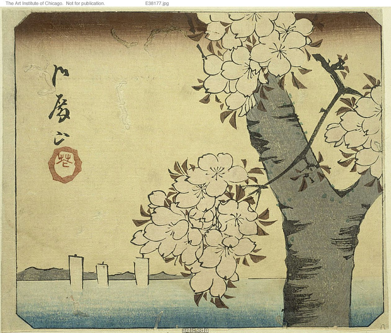 Flores em Goten Hill (Gotenyama, hana), seção de uma folha da série "Recortes de lugares famosos em Edo (Harimaze Koto meisho)" de Utagawa Hiroshige