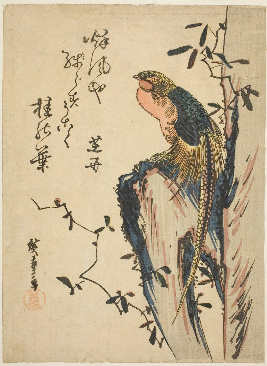 faisão dourado de Utagawa Hiroshige