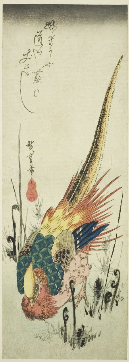Faisão dourado e samambaias de Utagawa Hiroshige