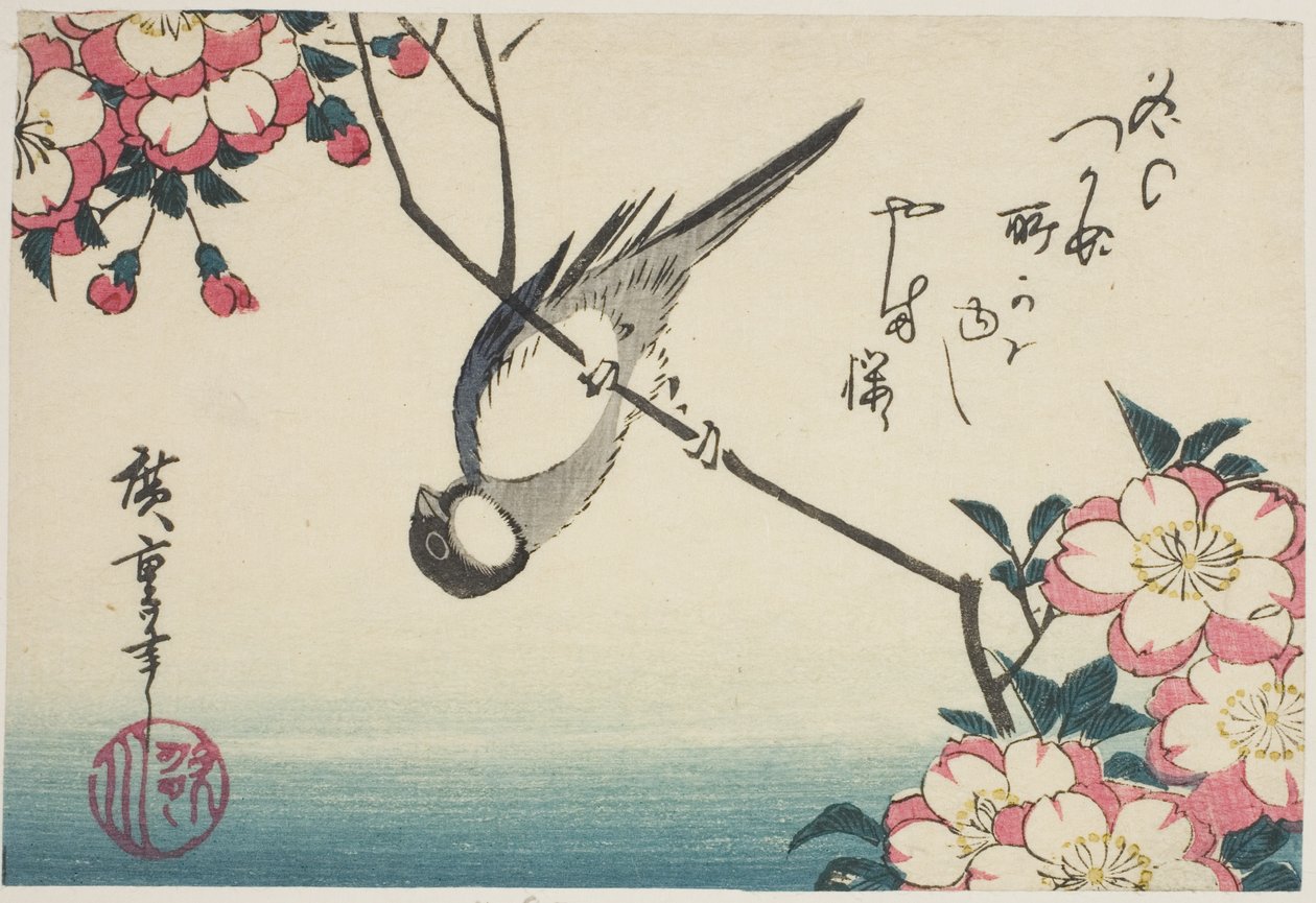 Grande chapim no ramo de flor de cerejeira de Utagawa Hiroshige