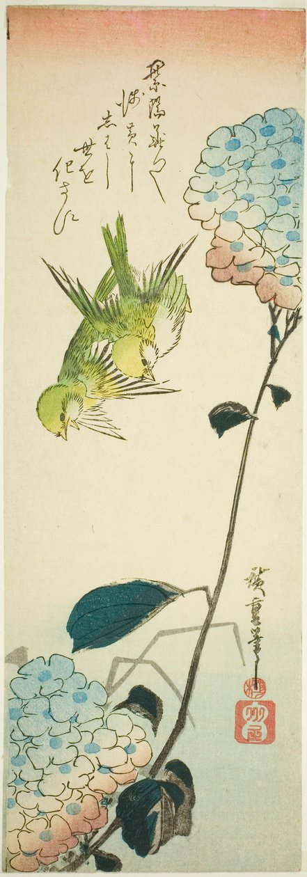 Pássaros verdes e hortênsias de Utagawa Hiroshige