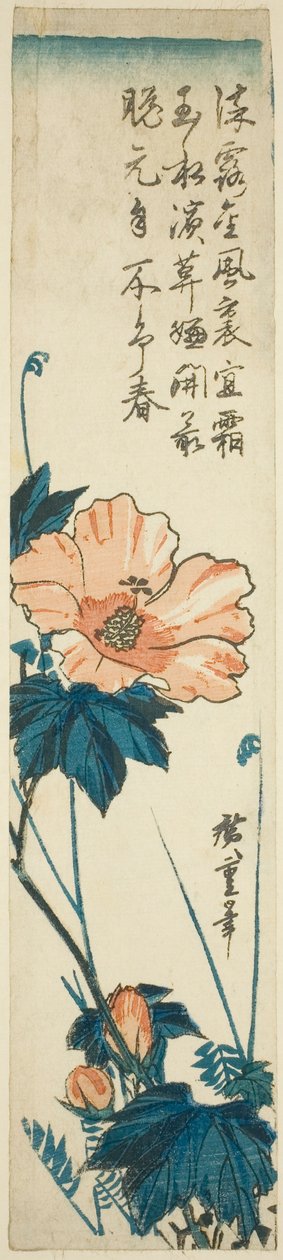 Hibisco de Utagawa Hiroshige