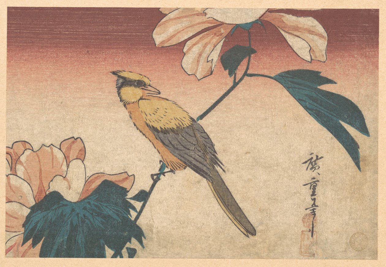 Hibiscus mutabilis e Jay de Utagawa Hiroshige