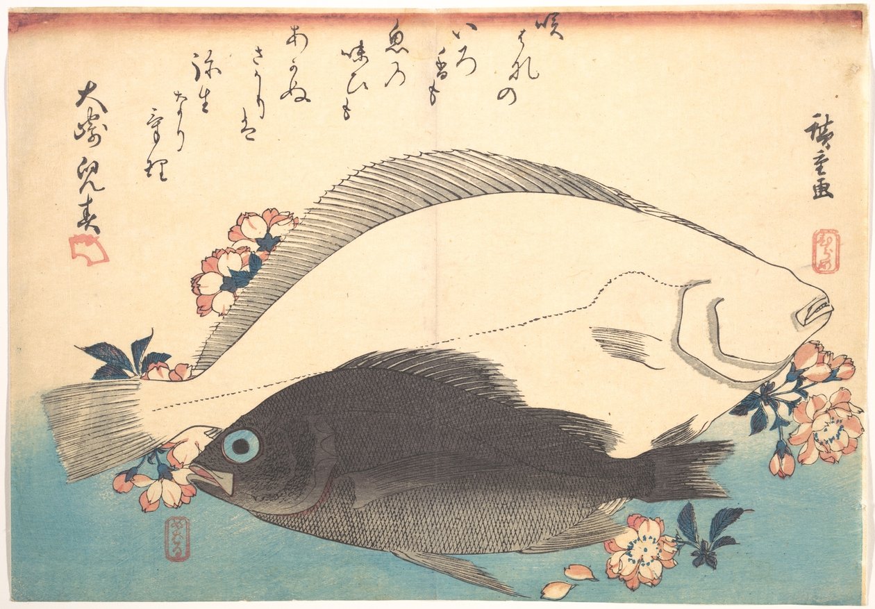 Peixes hirame e mebaru com flores de cerejeira, da série Uozukushi - Todas as variedades de peixe de Utagawa Hiroshige