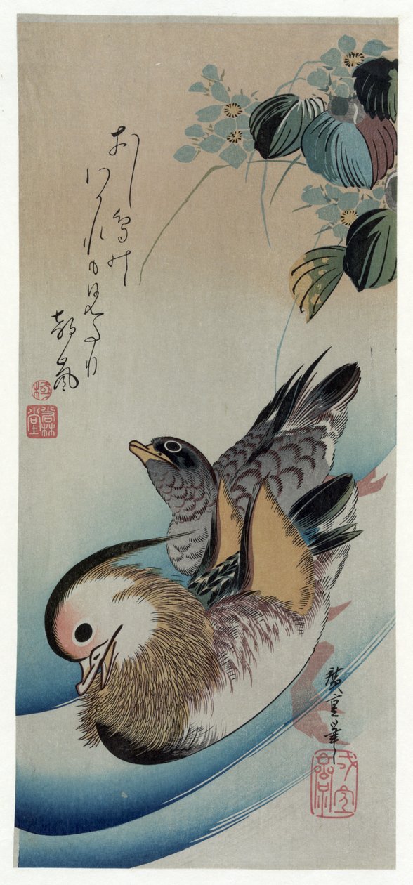 Hiroshige (1838) Dois patos mandarins de Utagawa Hiroshige