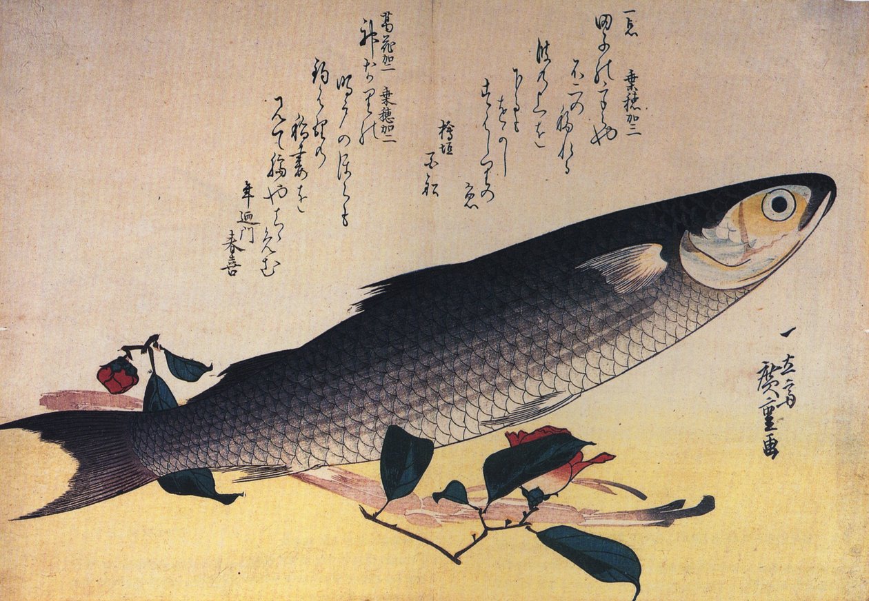 Hiroshige Tainha cinzenta e camélia de Utagawa Hiroshige