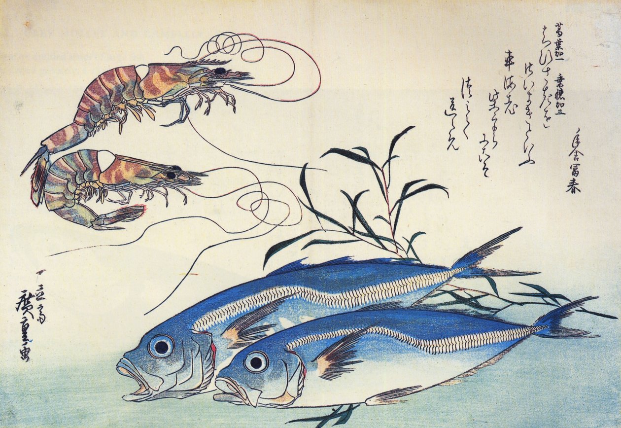 Hiroshige Carapau e camarões de Utagawa Hiroshige