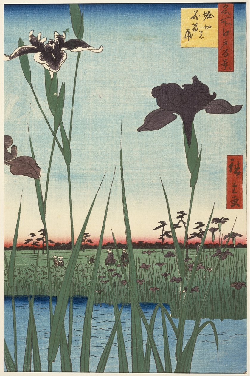 Jardim da íris Horikiri (Horikiri no hanashōbu), da série Cem vistas famosas de Edo (Meisho Edo hyakkei) de Utagawa Hiroshige