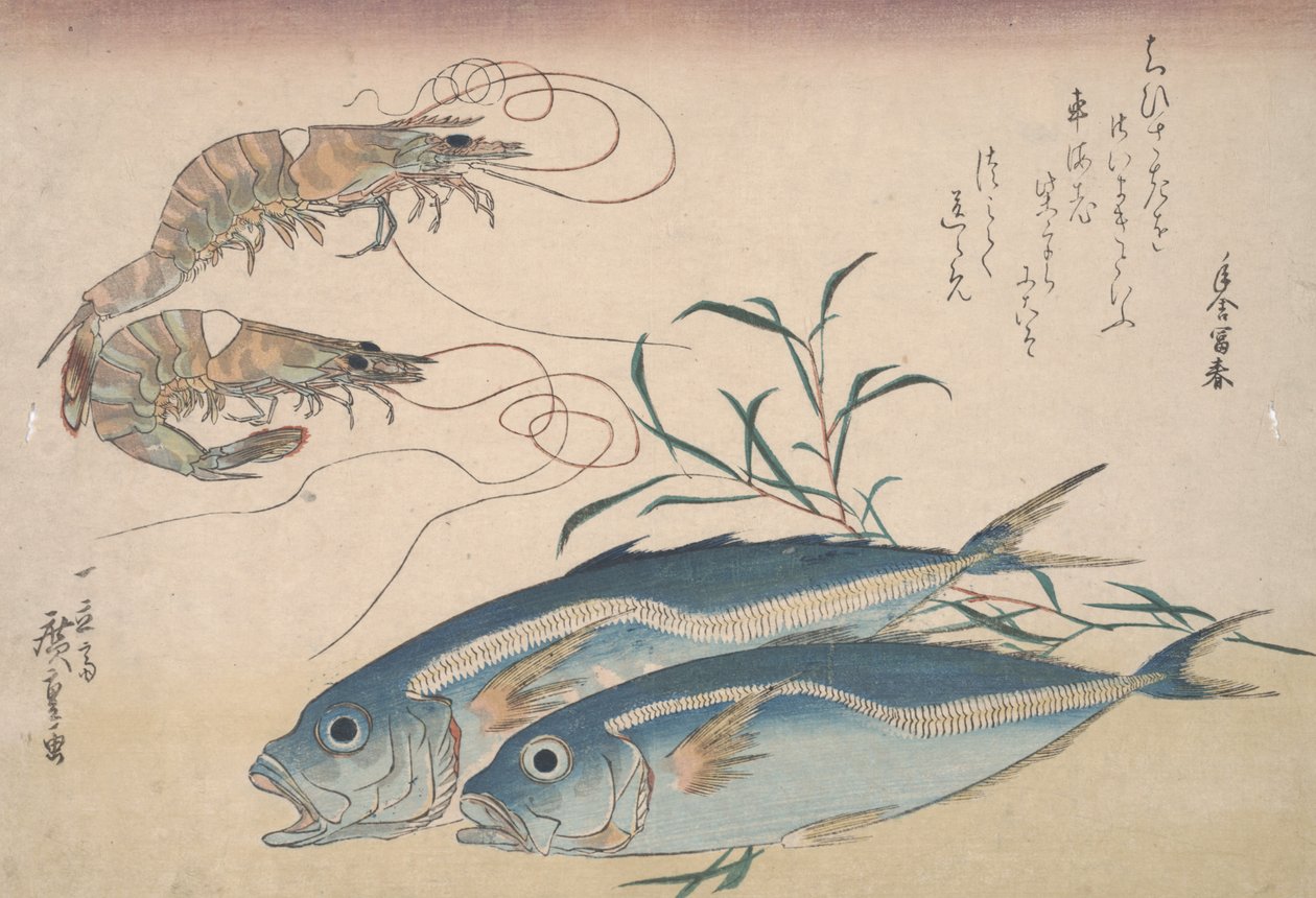 Carapau, camarão de água doce e algas marinhas, c.1832 de Utagawa Hiroshige