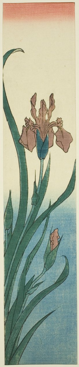 Íris de Utagawa Hiroshige