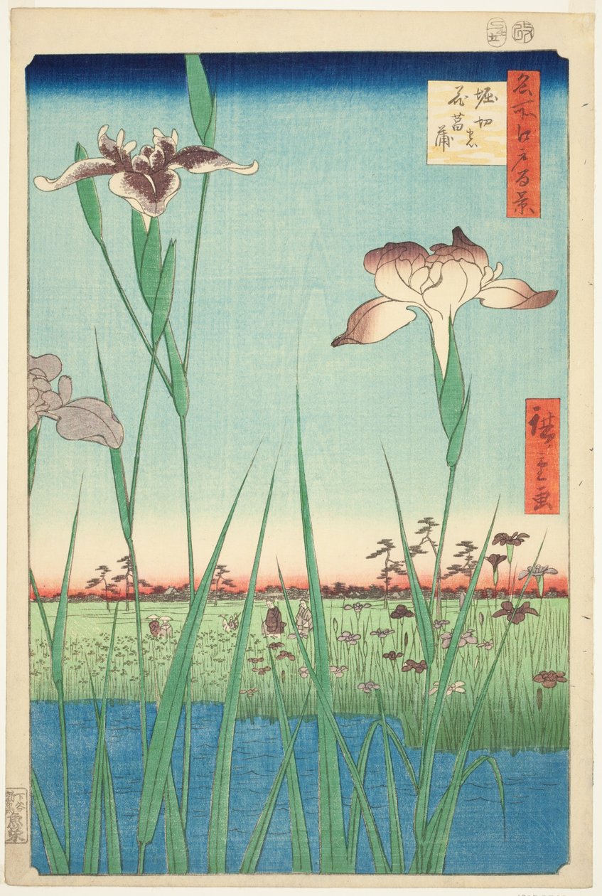 Irase s em Horikiri (Horikiri no Hanadokorobe), da série ``Ridge dre d fa net s views of Edo (One Hundred Famous Views of Edo)